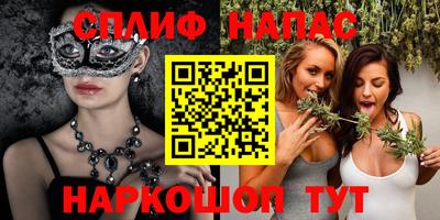 a pvp Новозыбков