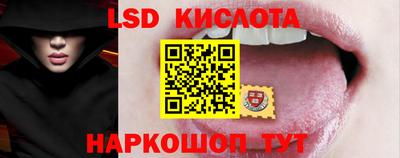 a pvp Новозыбков