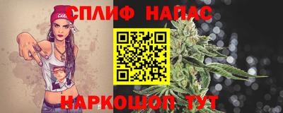 a pvp Новозыбков