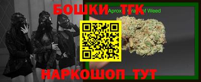 a pvp Новозыбков