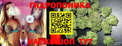 ПСИЛОЦИБИНОВЫЕ ГРИБЫ Новодвинск