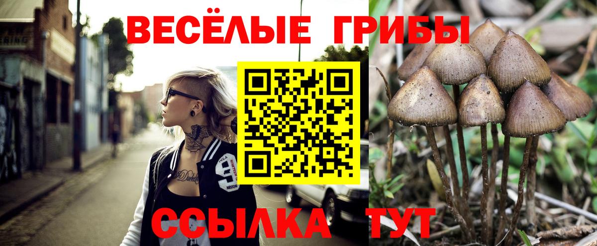 Ростов-на-Дону  Галлюциногенные грибы Magic Shrooms  Вход с VPN  Галлюциногенные грибы Psilocybine cubensis 